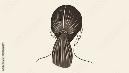 Back of Head with Hair Tied in a Ponytail.