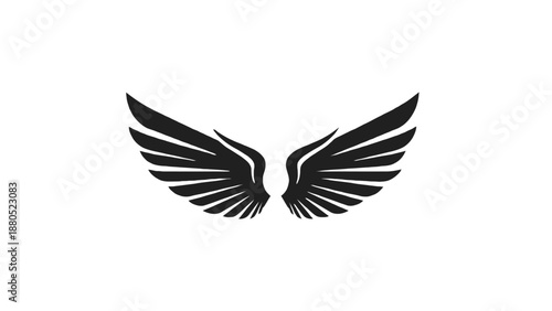 Powerful Black Eagle Wings Spread Silhouette