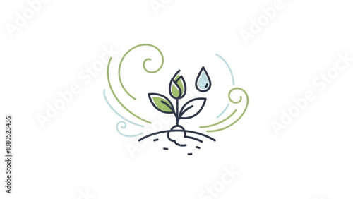 Sprouting seedling with green leaves and water droplets growing in soil with swirling lines