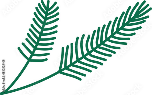 Lush green tropical fern leaves