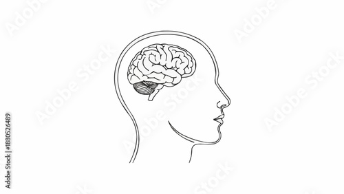 Human Brain Inside Head Silhouette Medical Illustration.