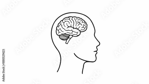 Human Head Silhouette with Brain Illustration.
