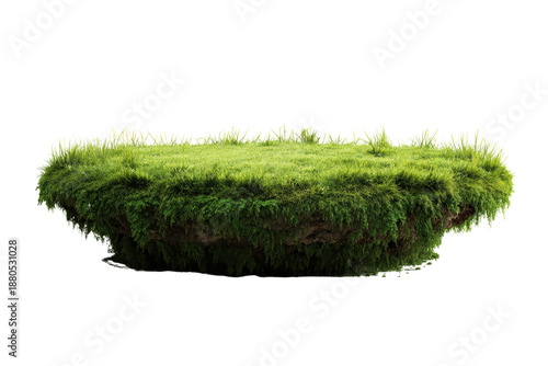 A grassy hill with a small mound of dirt in the middle. The hill is surrounded by grass and has a natural, peaceful feel to it, png