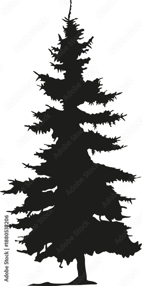 Fototapeta premium Black pine tree silhouette creating a nature graphic