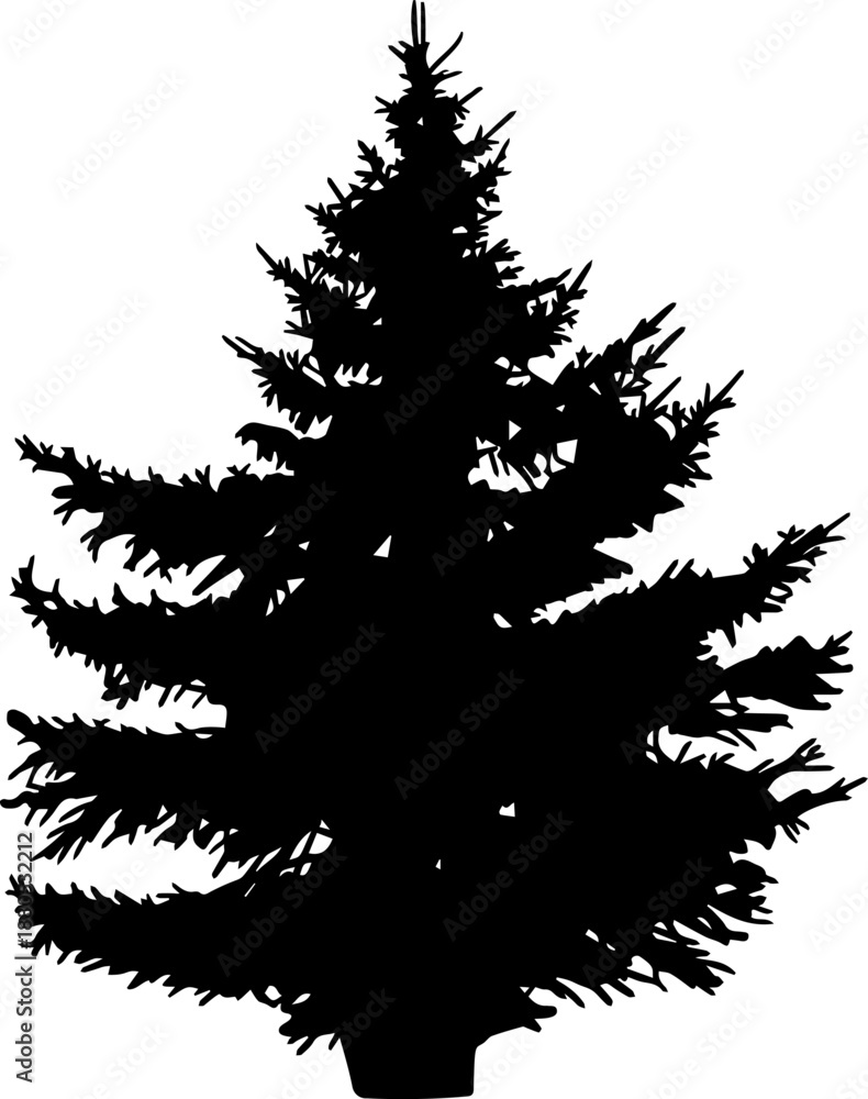 Fototapeta premium Conifer tree silhouette cut out on white background