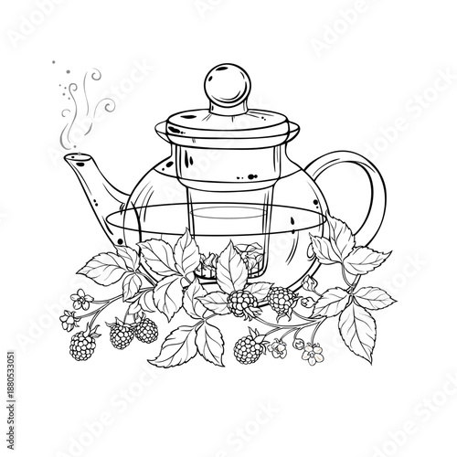 Blackberry Tea in Teapot aroma beverage Outline Illustration. Vector isolated for Design and Decoration for Cafeteria, Posters, Banners, Cards.