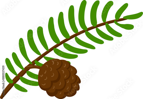 Evergreen branch with a pine cone illustration
