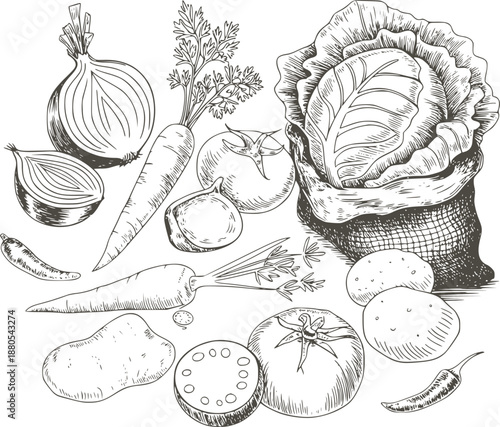 Black and hand drawn of various vegetables and herbs onion carrot cabbage