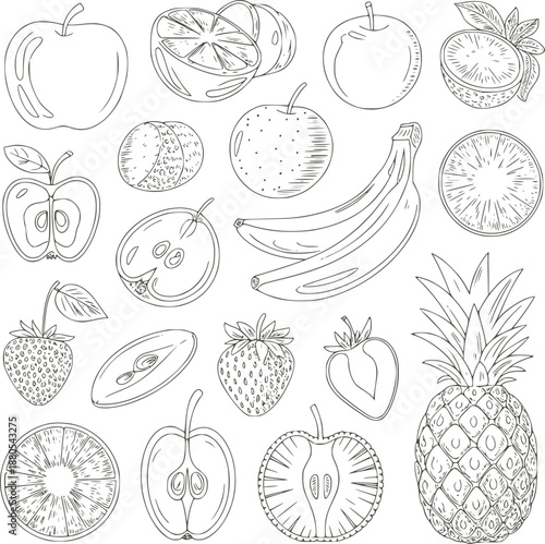 Black and line of various fruits and their cross-sections apples oranges