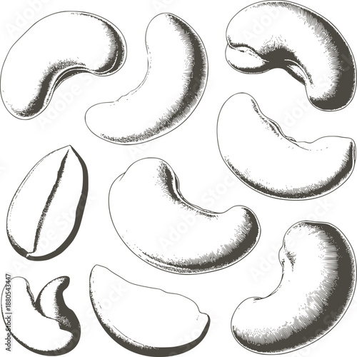 Detailed black and of various kidney bean shapes beans