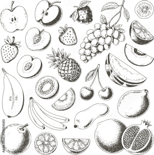 Hand Drawn Black and of Various Fruits and Vegetables