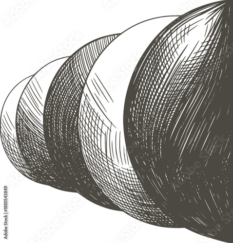 Monochrome abstract of overlapping curved shapes with shading and texture