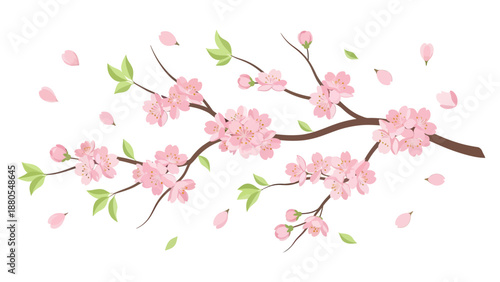 Blooming Cherry Blossom Branch with Falling Petals, Springtime Floral Illustration