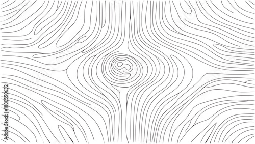 Black and swirling lines forming a wood grain pattern with a central knot abstract