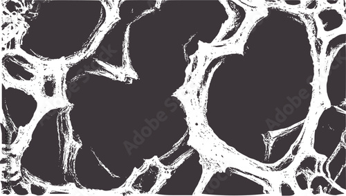 Contrast black and microscopic view of cellular structures with intricate patterns