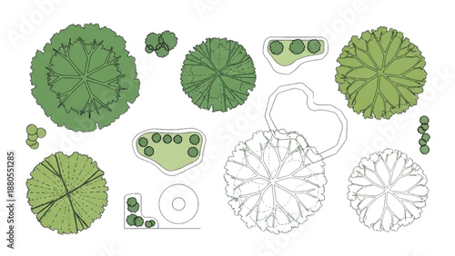Collection of various green botanical illustrations and diagrams showcasing different plant structures and details in a scientific and educational context