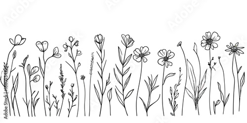 Hand drawn wild flowers and grasses line art set with delicate petals and slender stems in minimalist botanical outline vector illustration for nature and spring themes