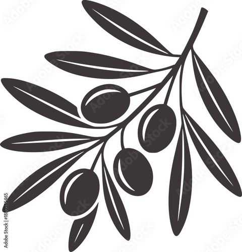 A clean of olive branch with leaves and olives