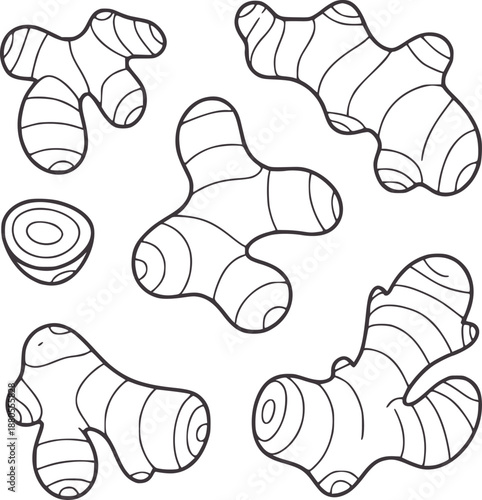 Minimalist black and of ginger root pieces with rings and knobs