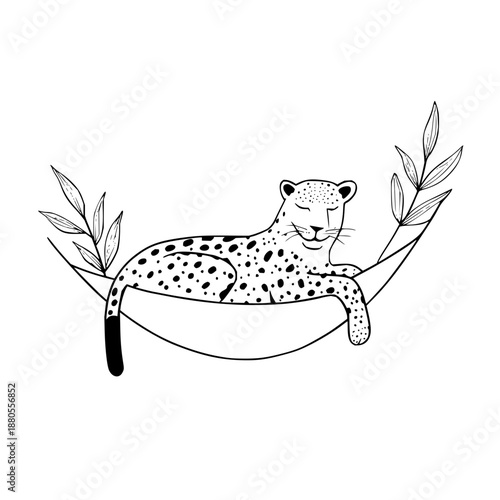 Leopard with spots relaxing in a hammock with leaves in a black and white minimalist illustration
