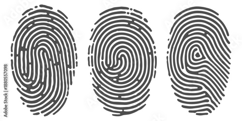 Unique Identification: A trio of intricate fingerprints, each a distinctive pattern of ridges and furrows, stands as a symbol of individual identity and unique characteristics.