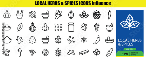 Set of Outline black and white line of local herbs and spices with a blue and green banner