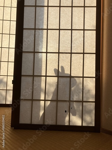 うさぎの影