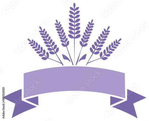 Elegant purple lavender sprigs and stalks above a blank flowing ribbon banner illustration