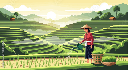Asian farmer woman watering plants on rice terraces