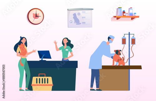 Veterinary Clinic Illustration with Vet Treating Dog and Reception Area