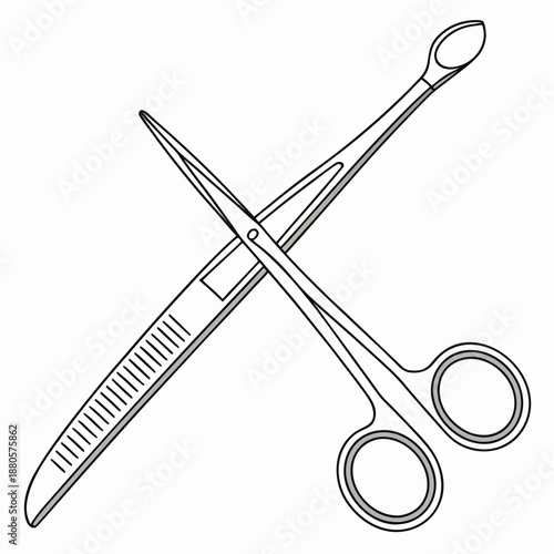 Polished Stainless Steel Surgical Scissors