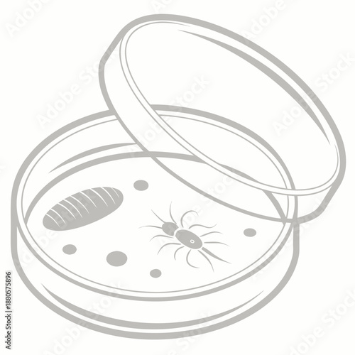 Microorganisms in a laboratory petri dish for scientific research