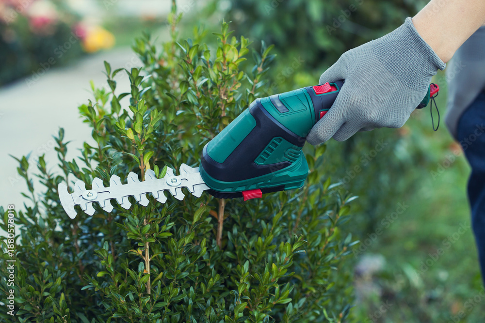 Φωτογραφία hand trimming bush with electric shears in garden