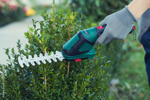 Canvas Print hand trimming bush with electric shears in garden