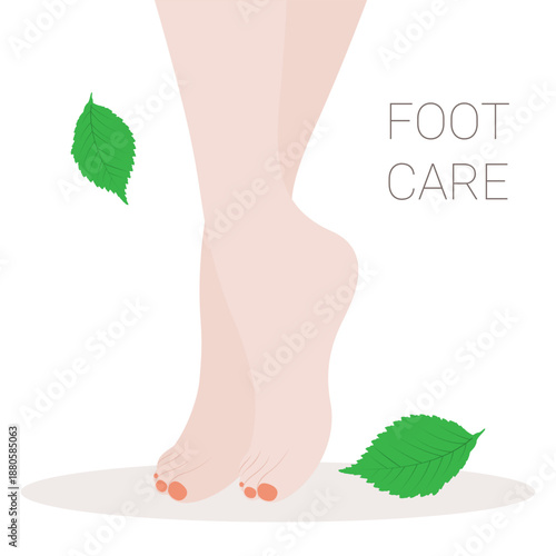 female feet and green leaf