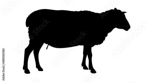 Black Sheep Silhouette Vector Icon for Livestock and Farm Animal Design Isolated on White Background