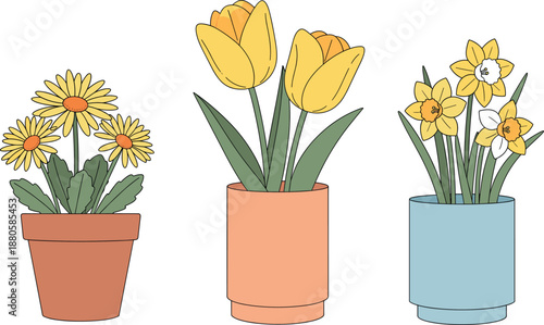 Set of three yellow garden flower vector illustrations featuring daisies tulips and daffodils in decorative colorful pots for spring