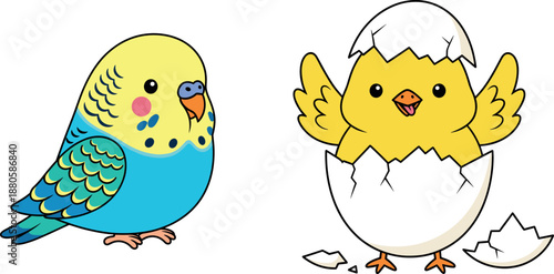 Set of two cute bird vector illustrations featuring a blue and yellow parakeet and a hatching baby chick