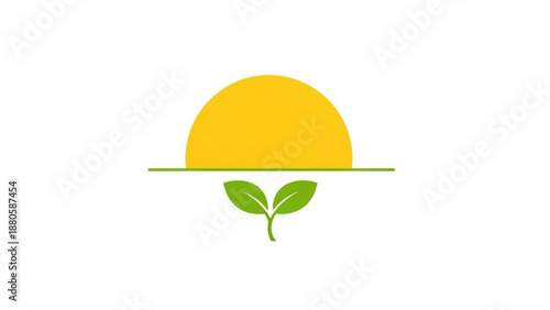Sunrise with green leaves and yellow sun on white background symbolizing nature and growth