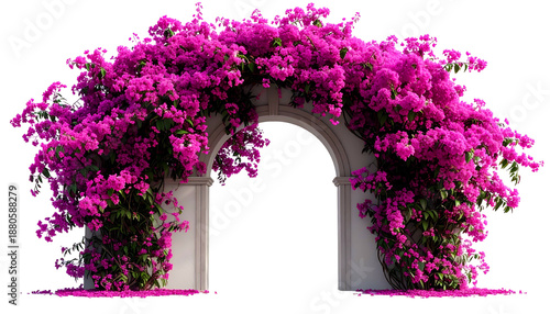 Stone archway covered in vibrant pink bougainvillea blooms, with a black backdrop