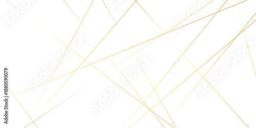 Abstract background with lines. Golden lines on White paper. Line wavy abstract vector technology line pattern background.