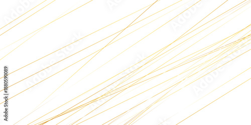 Abstract background with lines. Golden lines on White paper. Line wavy abstract vector technology line pattern background.