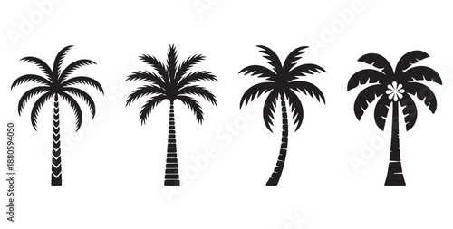 Tropical palm trees collection four different black silhouettes icons set summer symbol logo.