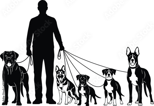 Man walking multiple dogs on leashes silhouette showing professional pet care dog walker service daily outdoor animal routine illustration