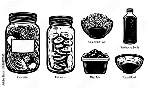 Black and White Set of Probiotic Fermented Foods and Drinks