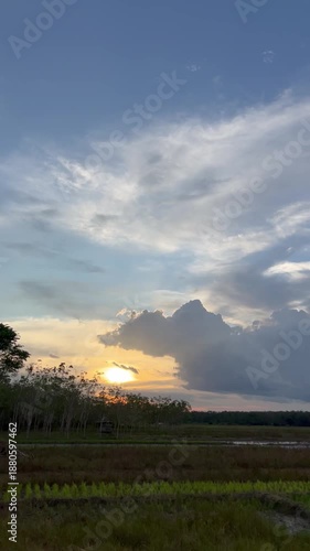 sunset over the field