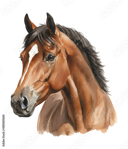 Bild auf Leinwand Majestic Brown Horse Head Portrait with Distinct White Blaze and Dark Mane Displ
