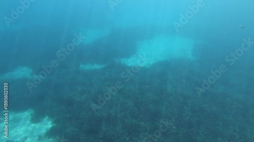 Wallpaper Mural POV underwater shot of a person swimming in blue seawater Torontodigital.ca
