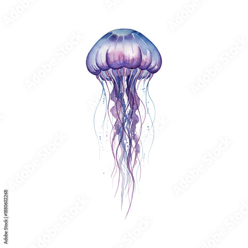 Beautiful purple and blue jellyfish gracefully floating with long flowing tentacles in clear water