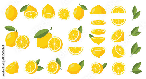 Comprehensive collection of yellow lemon illustrations includes whole fruits, halves, slices, wedges, and green leaves for citrus themed projects.
